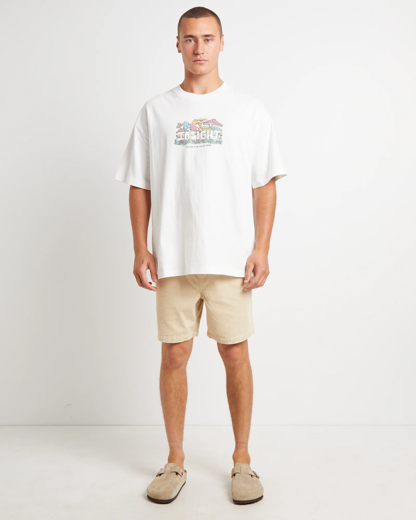 Bedford Cord Shorts in Latte - Image 3