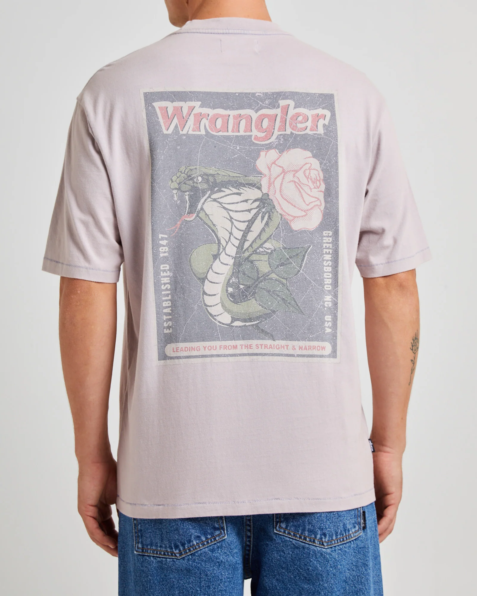 Cobra Slacker Short Sleeve T-Shirt Dirty Blue - Image 5
