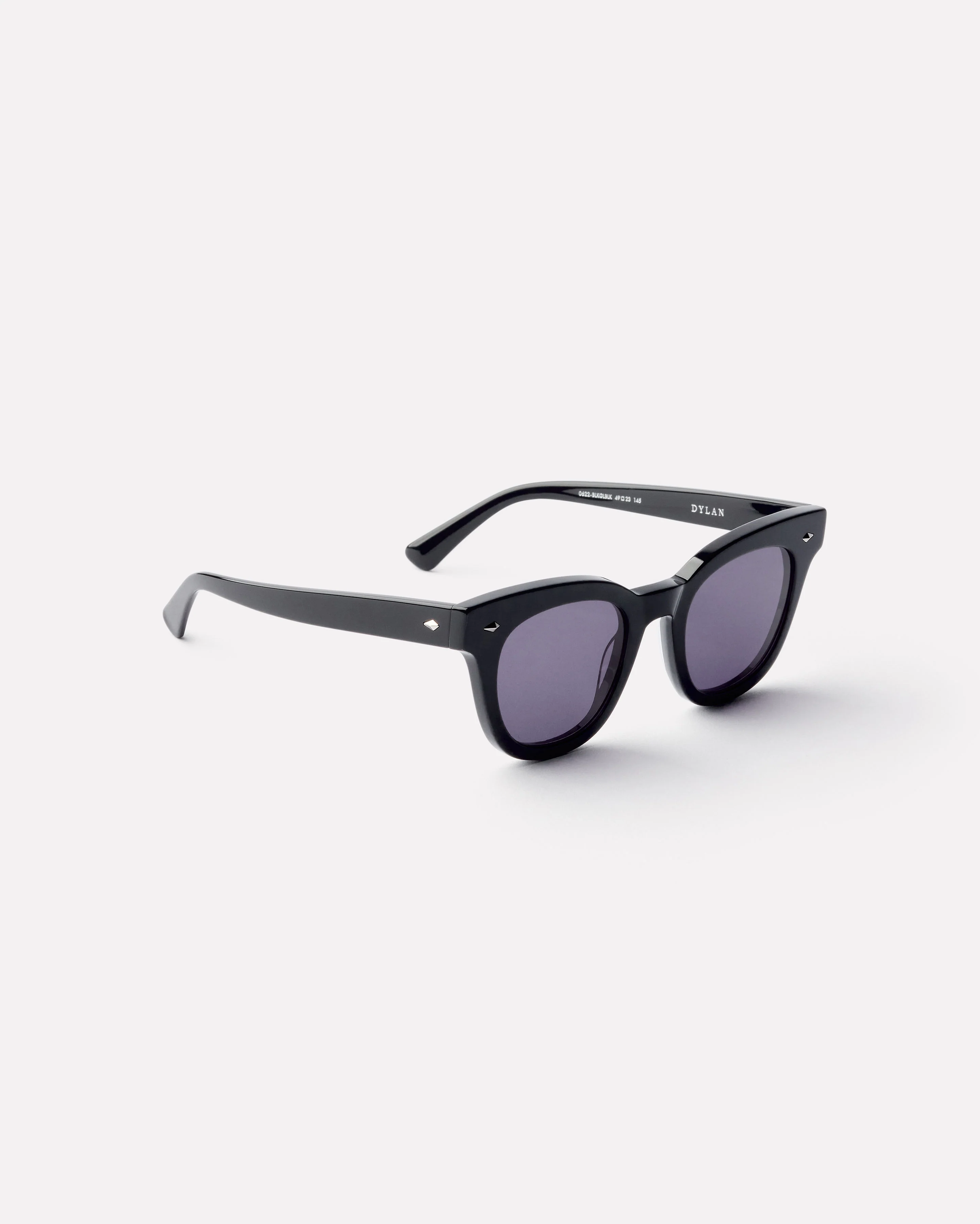 Dylan Sunglasses in Black Polished - Image 3