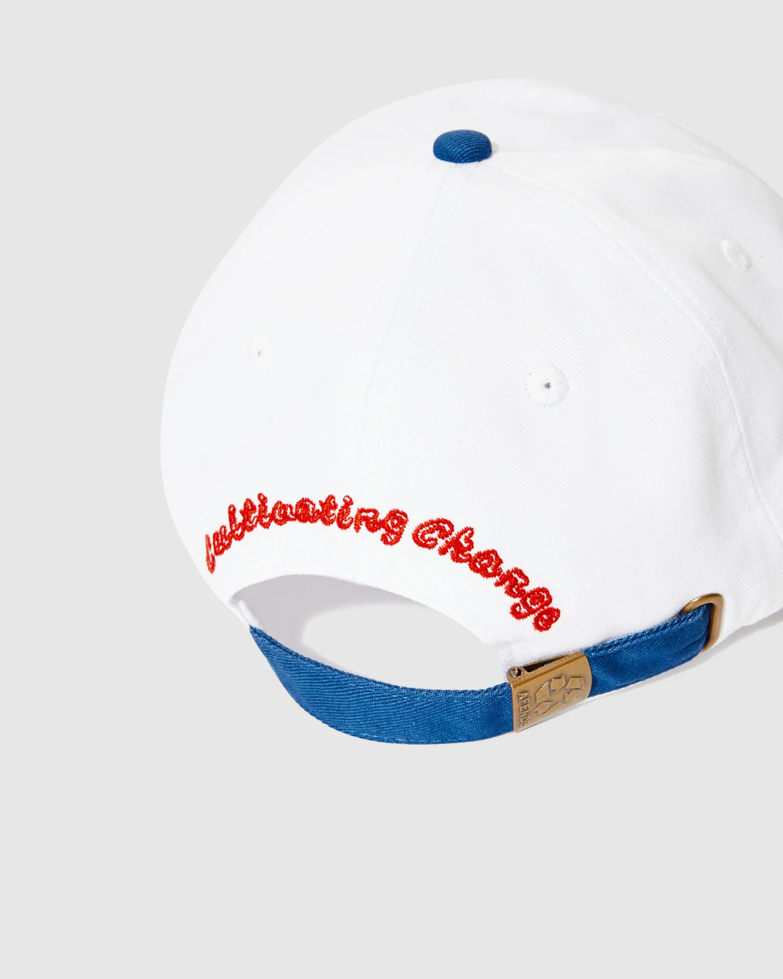 Frogga Six Panel Cap - Image 5