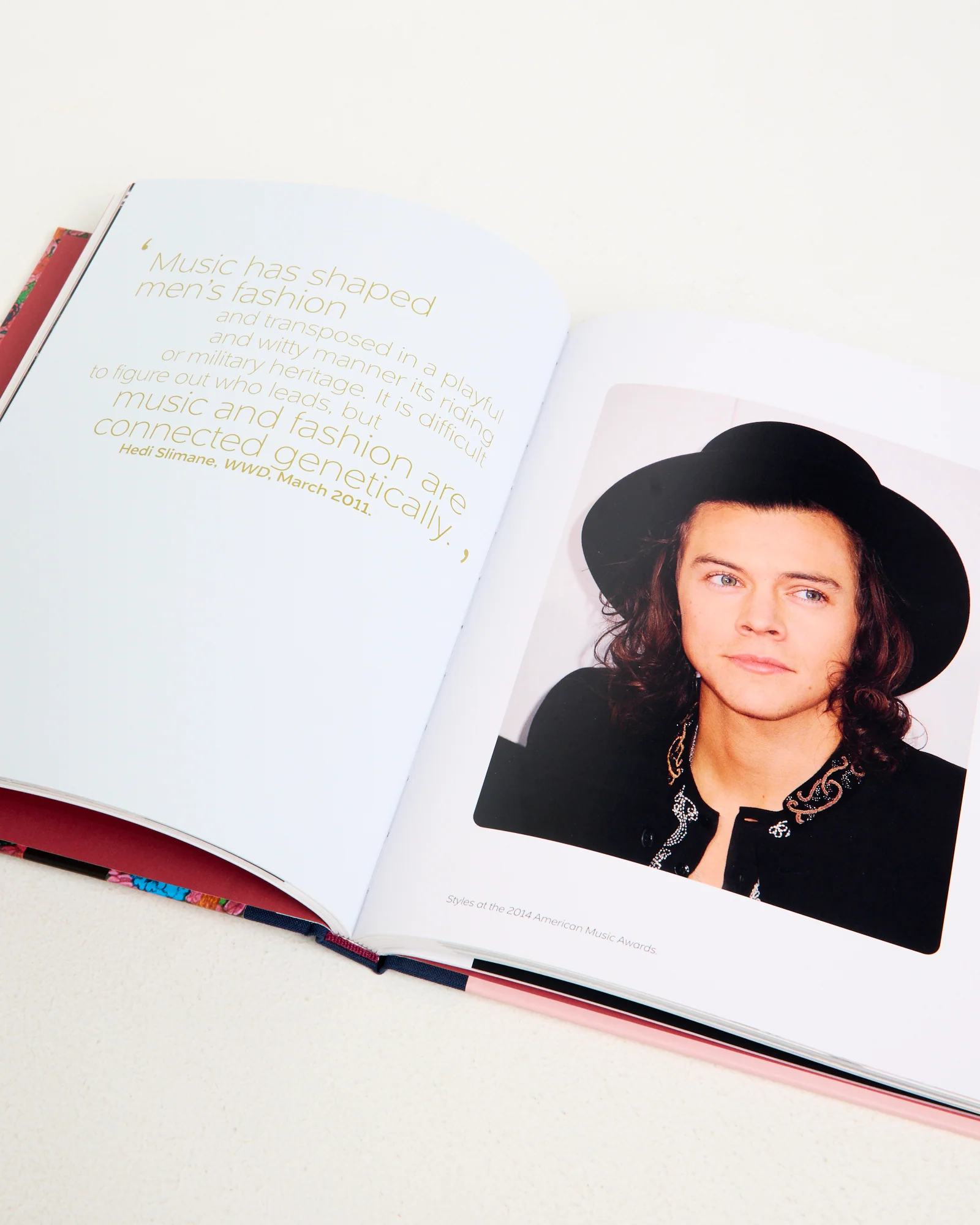 Harry Styles: and the Clothes He Wears Book - Image 2