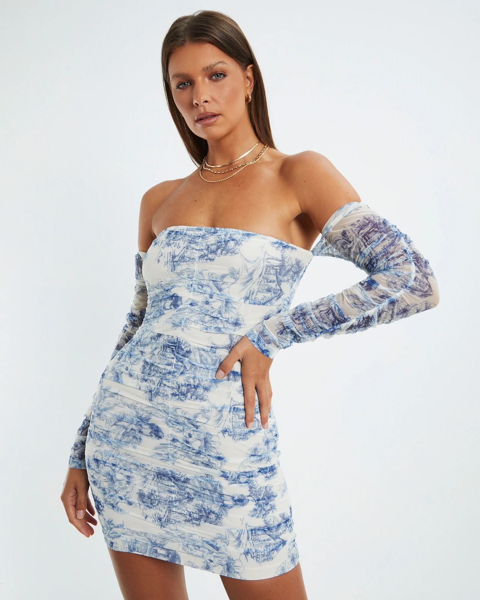 Holly Toile Print Gathered Dress Assorted