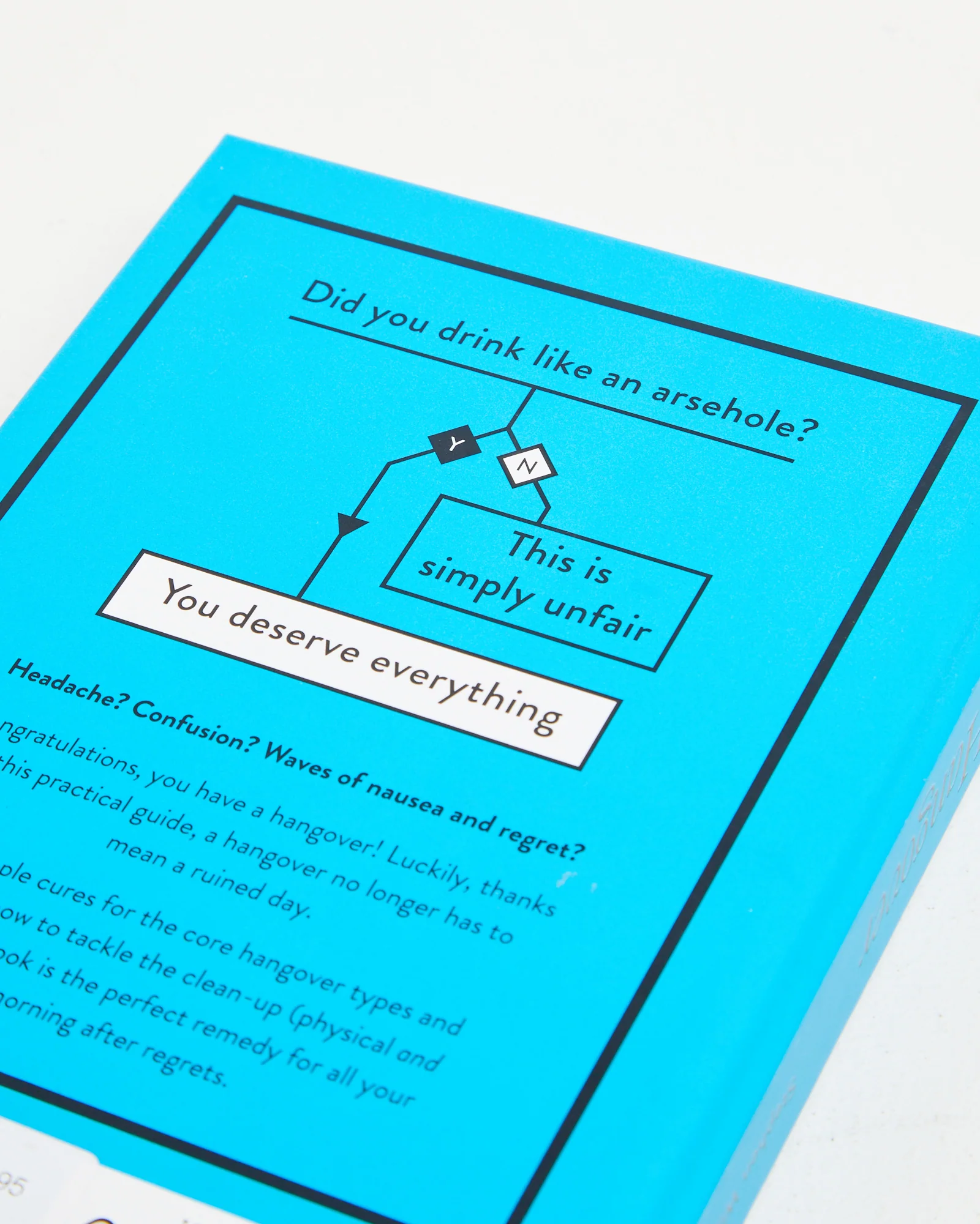 How To Hangover Book - Image 3