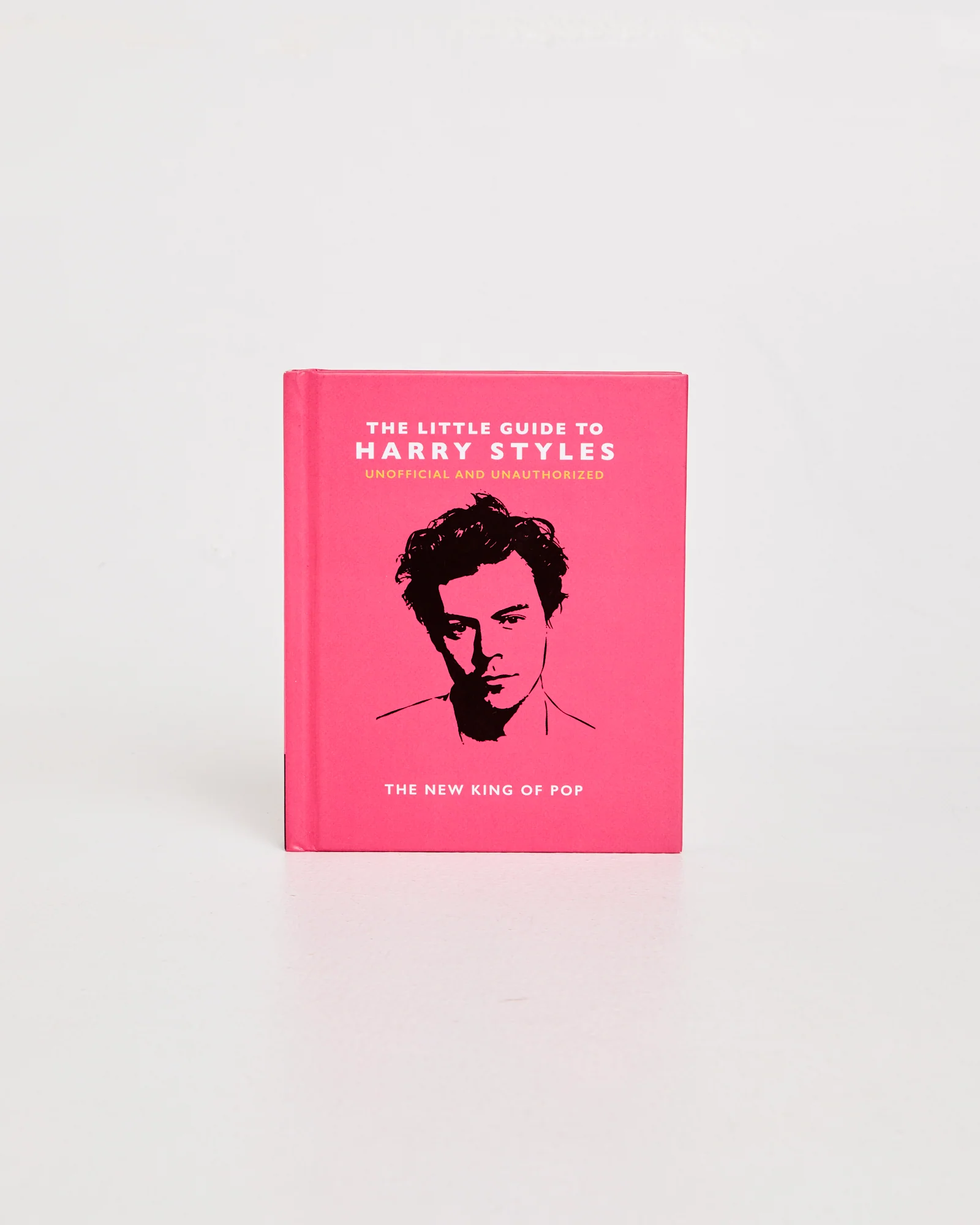 Little Guide To Harry Styles Book