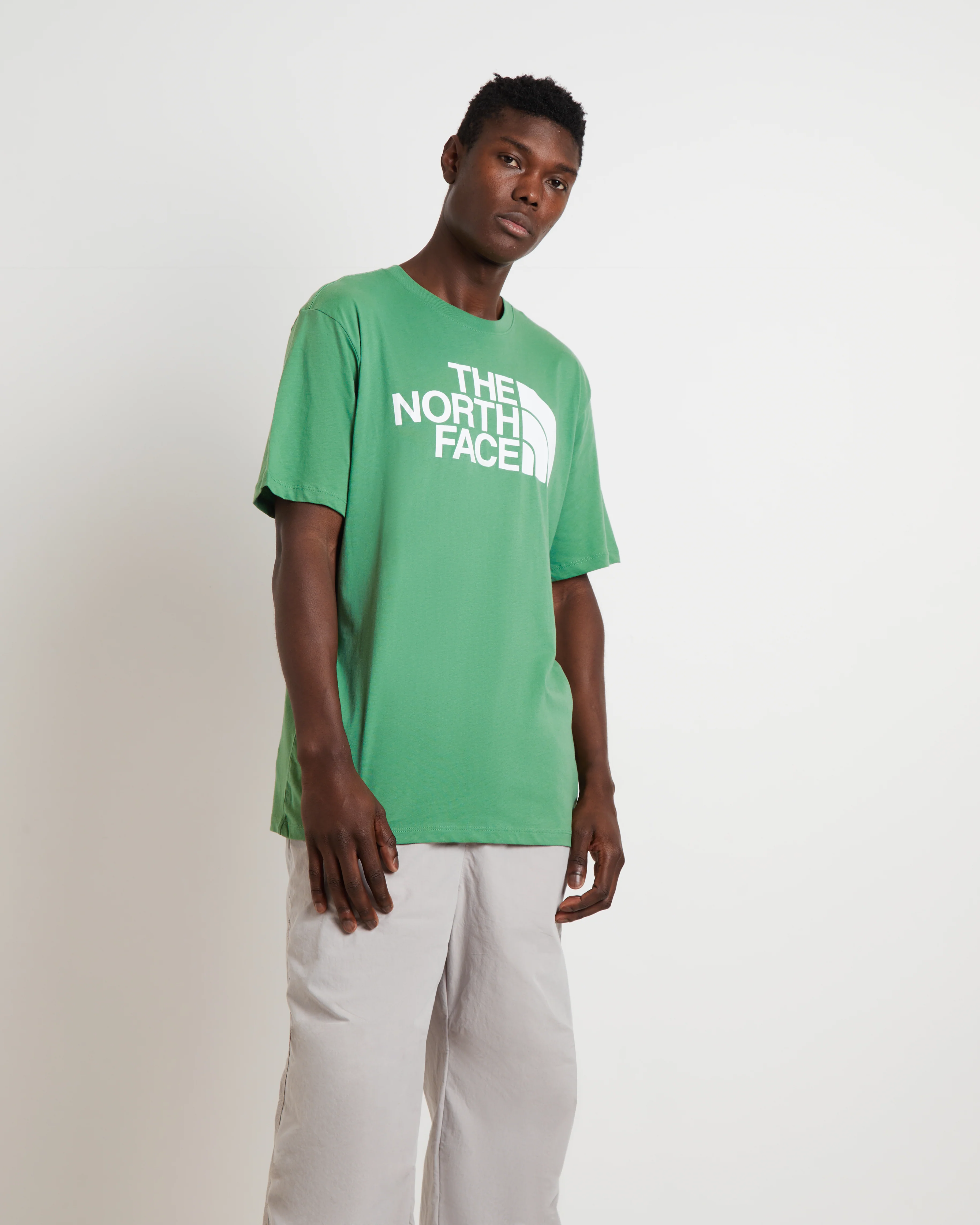 Short Sleeve Half Dome T-Shirt in Grass Green