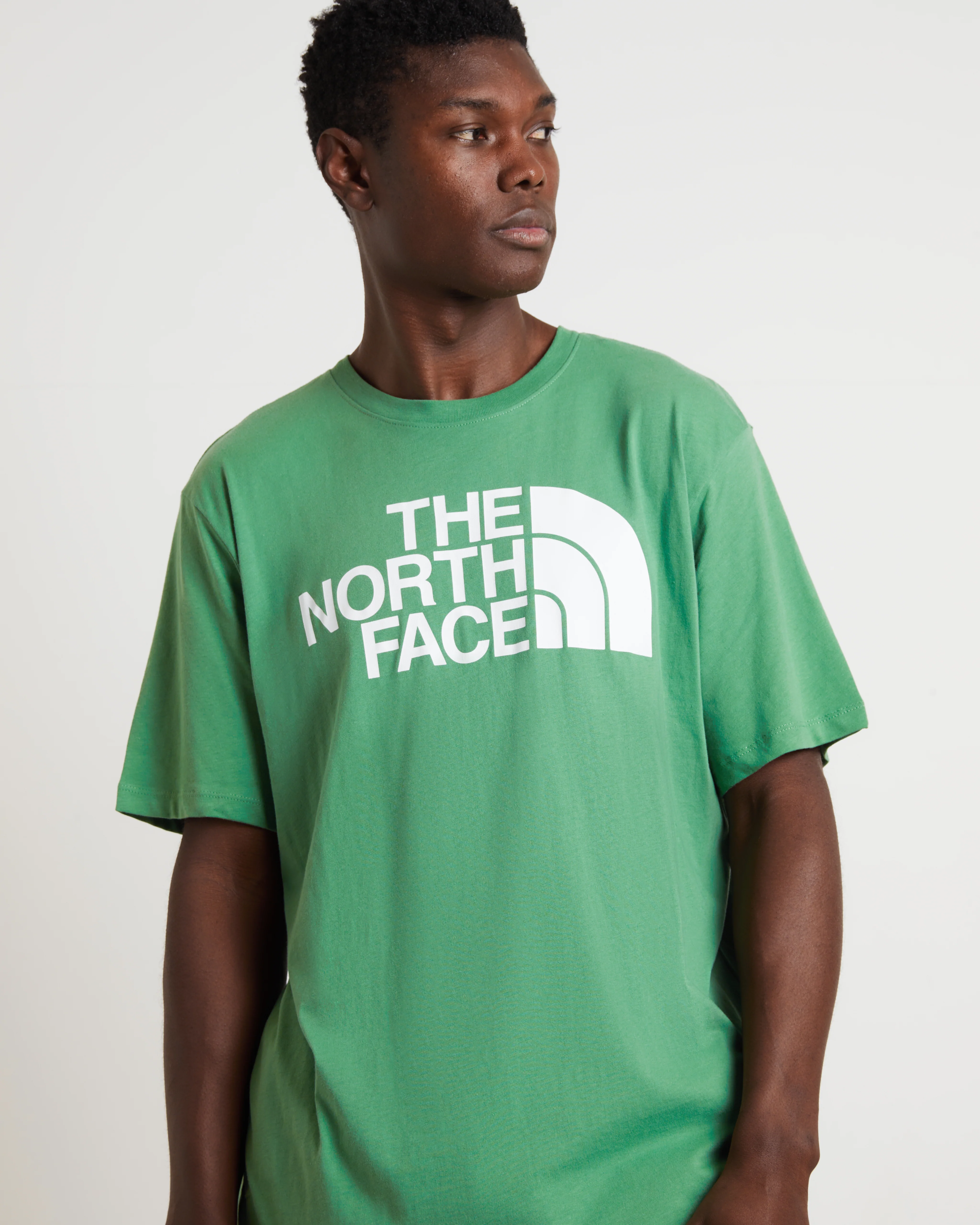 Short Sleeve Half Dome T-Shirt in Grass Green - Image 5