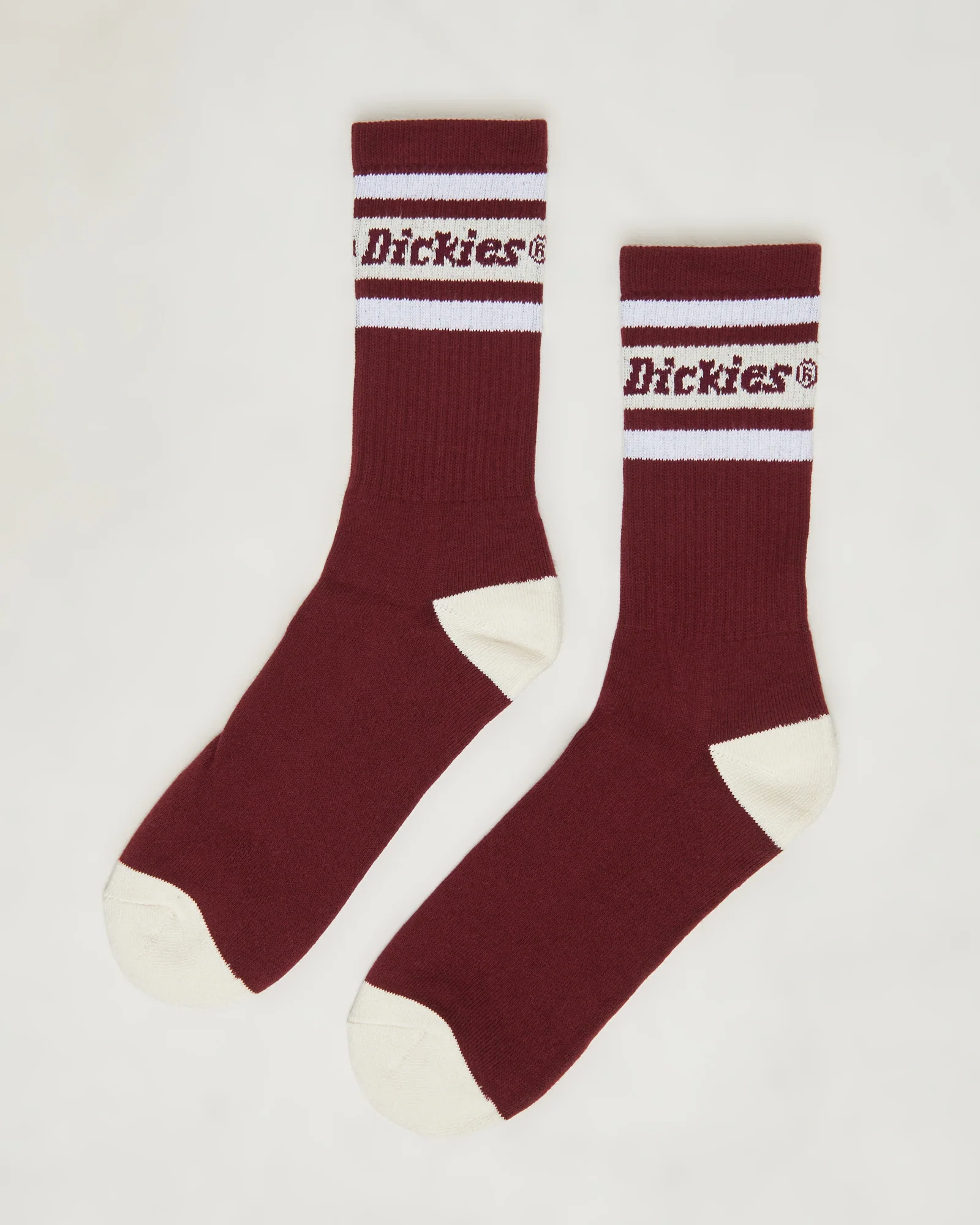 Standard 3 Pack Socks in Multi - Image 4